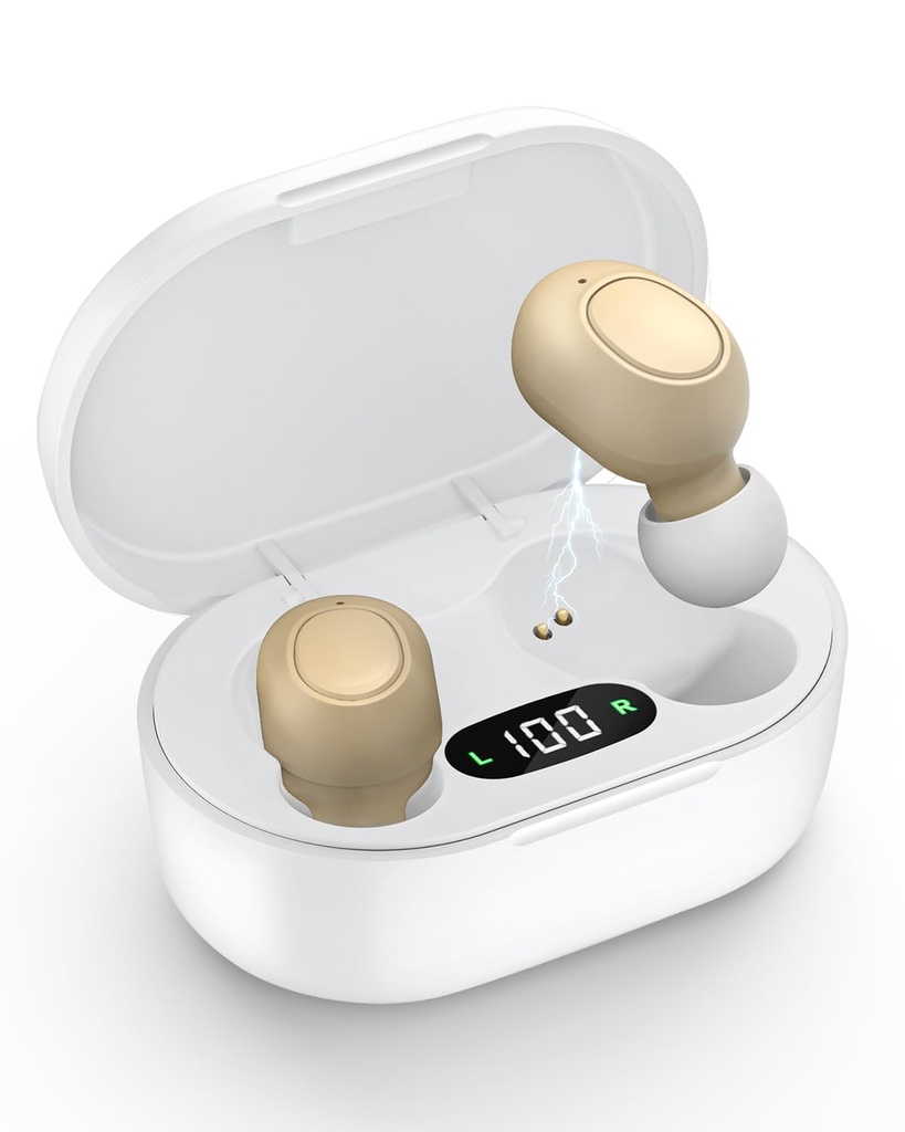 Aides auditives pour les aînés - Aides auditives rechargeables pour perte auditive avec réduction intelligente du bruit, amplificateur auditif invisible avec contrôle de volume et cas de charge portable