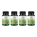 Swanson Bacillus Coagulans - Natürliche probiotische Ergänzung Unterstützung Verdauungsgesundheit w/ 6 Billion CFU - Mai Unterstützung GI & Gesamtgut Gesundheit - (60 Veggie Kapseln) 4 Pack