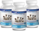 mâcher la vessie des chiens - SOUTIEN AUX TRACTS URINAIRES DES DOGS - SOLUTION DE CANDIDATS NATURAUX - SANTE EN BLANCHE - VETEMENT RECOMMANDÉ - supplément de canneberges pour chiens étonnant - 3 bouteilles (270 traites)