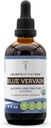 Secrets de la Tribe Blue Vervain USDA Organic (Hastata) Extrait sans alcool, gouttes d'herbes à haute puissance.
