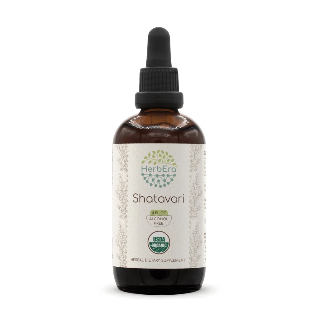 HerbEra Shatavari B120 USDA Organic Tincture | Alkoholfreier Extrakt, hochkarätige Kräutertropfen | Certified Organic Shatavari (Asparagus racemosus) Getrocknete Wurzel (4 oz)
