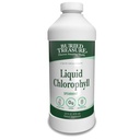 Trésor enseveli Chlorophylle liquide 100 mg, complément alimentaire, soutien digestif intestinal Déodorant du corps naturel Vegan Non-OGM Alcohol Free, Spearmint Saveur 32oz