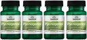 Swanson Pycnogenol 100 Milligramme 30 Kapseln 4 Packung