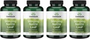 Swanson Sting Nettle Leaf (Urtica Dioica) - Kräuterergänzung Förderung Urinary Tract & Respiratory Health Support - Kann gesunde Fluid Balance unterstützen - (120 Kapseln) (4 Packung)