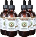 Cordyceps Alkoholfreie Flüssigextrakt, Cordyceps (Cordyceps Sinensis) Pilz Glycerite Hawaii Pharm Natürliche Kräuterergänzung 4x4 oz