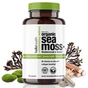 Organic Irish Sea Moss Capsules: Wildcrafted Sea Moss, Burdock Root & Bladderwrack Prebiotic Super Food für Immununterstützung, Schilddrüsenunterstützung, Natürliche Energie, -120 Caps