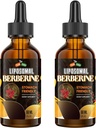 Berberine Supplement mit Ceylon Cinnamon 3000mg - Hohe Bioverfügbarkeit Liposomal Berberine Flüssigkeitstropfen, Berberine HCL Complex Plus Turmeric Supplements, AMPK Activator, Geeignet für Damen,Men-120ml
