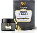 Himalayan Shilajit Resin | High Potency Pure Shilajit für Männer & Frauen - 85+ Trace Minerals, 75%+ Fulvic Acid Energy Boost, Immununterstützung, 75 Servierende organische Harz mit Lab Testbericht, 400mg