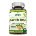 Herbal Secrets Boswellia Serrata Extrakt Ergänzung | 65% Boswellic Acids | 600 Mg pro Servieren | 60 Kapseln | Non-GMO | Gluten-Free | Made in USA