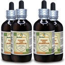 Türkei Tail Mushroom (Trametes Versicolor) Tinktur, Getrocknete Pilzflüssigkeit Extrakt (Markenname: HerbalTerra, Proudly Made in USA) 4x4 fl.oz (4x120 ml)