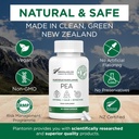 Supplément de pois Palmitoyléthanolamide 600mg - Suppléments de pois micronisés 99% - 2 mois d'approvisionnement - Soutien naturel avancé pour le confort joint