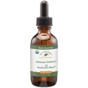 Native Heilmittel Immunabwehr 14 Pilzmischung zu schützen und Immunsystem Funktion, 2 Fl oz.