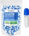 XPRS Nutra Größe 3 Leere Kapseln - 500 Graf Leere Gelatine Kapseln - Pillen DIY Kapsel Füllung - Pure Bovine Pille Gel Kapseln füllbar für Do-It-Yourself Vitamine und Ergänzungen (blau/weiß)
