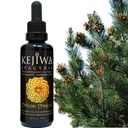 Kejiwa PIÑON PINEAL Spagyria: Wild Harvested Pine Herbal Tinte für Dritte Augenaktivierung, Nootropic, Adaptogen, Vitalität Unterstützung 1.69 fl oz