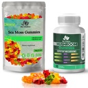 BIO VITALICA Sea Moss Gummi & Pilzgummis (Bundle)