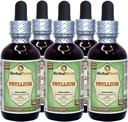 Psyllium (Plantago Ovata) Glycerit, Organic Dried Husk Alcohol-Free Liquid Extract (Markenname: HerbalTerra, Proudly Made in USA) 5x2 fl.oz (5x60 ml)