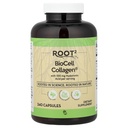 Vitacost ROOT2 BioCell Collagen mit Hyaluronsäure -- 100 Milligramm pro Servierung - 240 Kapseln
