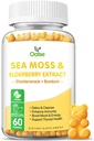 Sea Moss Gummi für Erwachsene und Kinder, 2000mg Raw Seamoss, Bladderwrack, Burdock Root, Elderberry, Pfeffer, Vitamin C & D3, Zink unterstützt Immunsystem & Boost Energy (1-Pack)