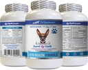 Hunde Augen Vitamine - Hunde Augengesundheit Formel - Advanced Eye Support Complex - VETS Empfehlung - Hund Lutein - 1 Flasche (60 Tabletten)