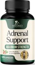 Adrenal Support Supplements Cortex Complex, Best Energy Supplement, unterstützt Cortisol Health & Energy Levels, Daily Ashwagandha für Frauen und Männer, unterstützt Adrenal Fatigue & Immune System, 120 Kapseln