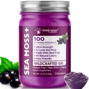 WELLNESS LABSRX Irish Sea Moss Gel Raw - Wildcrafted Superfood Seamoss Gel - Elderberry Flavor, Vitamin and Mineral-Rich von Pristine Caribbean Waters, Immune and Digestive Health Support - 10 Unze.