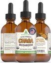 RawGuru Chaga Mushroom Supplement - Vegan Chaga Pilzextrakt mit Trace Minerals - Nano-Processed Immunity Boost & Cognitive Supplement Tinkture - 60 Portionen von Vegan Tropfen pro 60 ml, Packung von 1