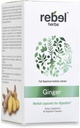 Rebel Kräuter Ginger Kapseln Leistungsstarke Dual-Extrakt, Non-GMO, Glutenfrei, Ginger Root (Rhizome) Extrakt
