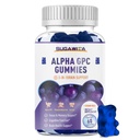 Alpha GPC Choline Gummie 600mg mit Phosphatidylserine & Bacopa – 3-in-1 Gehirn-Unterstützung für Gedächtnis, Fokus & Langzeitkognitive Gesundheit – Zuckerfreie, natürliche Formel, 60 Zähler