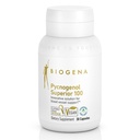 Biogena Pycnogenol 100 mg Gold mit Premium-Patent Französisch Maritime Pine Bark Extract (Pinus Pinaster) Blutzirkulation zu unterstützen