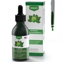 Chlorophyll Liquid Drops - 100% natürliche Energie Booster und Immununterstützung - inneres Deodorant und Detox - Höhenverminderung - schnelle Absorption, Vegan & Non-GMO - 120 Portionen (Pack von 1)