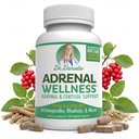 Adrenal Wellness Ashwagandha & More - Organischer Geist, Körperunterstützung von Dr. Danielle, 120 Kapseln