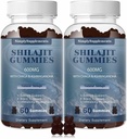 Shilajit Gummies 600mg, Shilajit Ergänzung mit Trace Minerals & Fulvic Säure für Energie und Immunität Unterstützung, Organische Shilajit Harz für Männer & Frauen, Vegan, 60 Gummi (2 Pack)