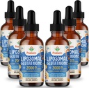 2000MG Liposomal Glutathione Flüssigkeit, 98% Absorption, Aktive Form L-Glutathione Ergänzung, Vegan freundlich, Leistungsstarker Antioxidant-Komplex für Immunsystem, Aging Defense, Detox, 12 FL.OZ