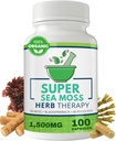 Sea Moss Capsules 100 Pack - Irish Sea Moss mit Bladderwrack Powder & Burdock Root Powder - Keto & Alkaline Diät-Unterstützung - Keine Füllstoffe Seamoss Raw Supplement