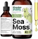 Forever Puppy Irish Sea Moss Tropfen für Hunde - Schilddrüse & Energie Unterstützung für alle Rassen & Größen - Hundefuttermittel mit flüssigem Seamoss Extrakt - Vitamine und Ergänzungen - Zucker & Alkoholfrei -4 oz
