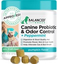Balanced Breed Dog Probiotics Verdauungs-Gesundheitsenzyme Made in USA Vet-Pharmacist zugelassen Fortiflora Probiotics Hunde Anti-Just-Ergänzungen Behandlung Relief Hund Yeast Itchy Skin Itchy Ohren Non-GMO