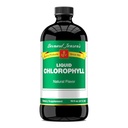 Bernard Jensens 100% reines natürliches Chlorophyll Aromaflüssigkeitsergänzung | fördert Alkaline Ph | Hilft, Blut | 16 flüssige Unze (474 ml) zu reinigen