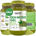 Sea Moss Gel Matcha Green Tea 24oz Wildсrafted Gold Sea Moss Gel von Saint Lucia | 92 Vitamine und Mineralien | Pure Raw+Non-GMO