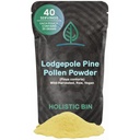 Holistic Bin Organic Pine Pollen Powder Pharmaceutical Grad, Wild Harvested, Golden Canadian Pine Pollen | Non GMO, No Additives | Pure Pollen Supplement Made from The Lodgepole Pine Tree, 20 g