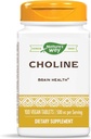 Nature's Way Choline, 500 mg pro Portion, 100 Tabletten (Pack von 2)