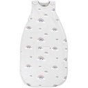 Woolino Merino Wool Ultimate Baby Sleep Sack - 4 Saison Baby Tragbare Decke - Zwei-Way Reißverschluss Verstellbare Schlaftasche für Babys und Kleinkinder - Universal Größe (2-24 Monate) - Rainbow