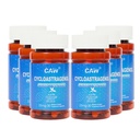CAW Hypersorption Cycloastragenol | Telomere Support Anti-Aging | Cell Health Immune Booster | 25Mg 30Enteric-Coated Kapseln 6 Flaschen