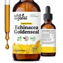 Wild & Organic Echinacea Goldenseal Liquid Drops - Immununterstützung Ergänzung w/Goldenseal Echinacea Root Extract - Vegan, Zucker & Alkoholfreie Tinktur - 2 oz