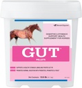 GutTM Pellets | Gesunde Gut Probiotika für Pferde | Equine Prebiotic & Probiotic Powder | Pferde Stomach Supplement | 13.5 lb