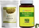 HERBAL HILLS Gurmar Tee Pulver und Gerste Gras Tablets Pack von 2 Combo