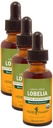 Extrait liquide de lobelia biologique certifié Herb Pharm pour le soutien du système musculosquelettique - 1 once (DLOBEL01) (paquet de 3)