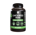 PURE ORIGINAL INGREDIENTS Chickweed Kräuter, (365 Kapseln), kein Magnesium oder Reisfüller, Immer rein, Lab Verifiziert