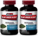 Pure Green Superfood von Klamath Lake, um gesündere und jüngere Blick Haut zu fördern - Blue Green Algae 500mg, Blue Green Algae Capsules, Blue Green Spirulina, Spirulina, Chlorella - 2B 120 Cap