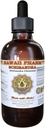 Hawaii Pharm Schisandra Liquid Extract, Organic Schisandra (Schisandra Chinensis) Tinktur, Kräuterergänzung, Made in USA, 4 fl.oz