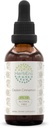 Ceylon Cinnamon B60 Alkoholfreie Kräuterextrakt-Tinktur, Konzentrierte flüssige Tropfen natürliches Cinnamon (Cinnamomum Verum) (2 fl oz)
